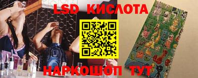 крисы Можга