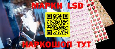 крисы Можга