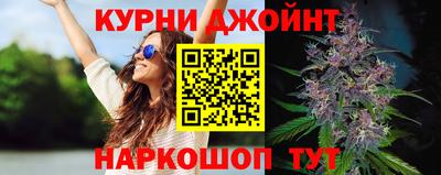 крисы Можга