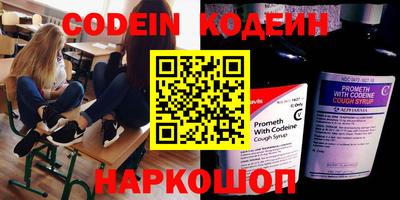 крисы Можга