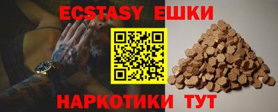 крисы Можга