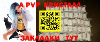 крисы Можга