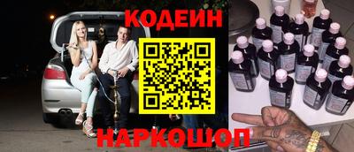 крисы Можга